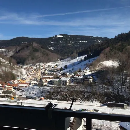 Ferienwohnung Im Schwarzwald Griesbach