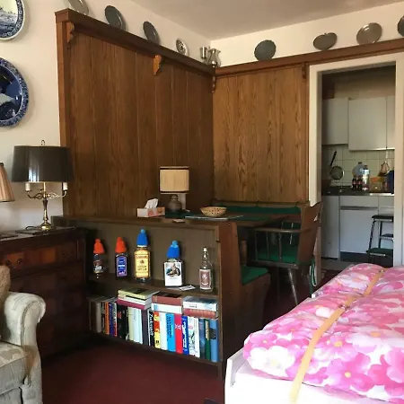 Ferienwohnung Im Schwarzwald Griesbach 아파트 바트 페테르스탈-그리스바흐