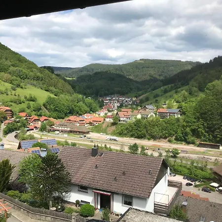 Ferienwohnung Im Schwarzwald Griesbach