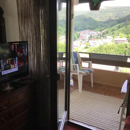 아파트 Ferienwohnung Im Schwarzwald Griesbach 바트 페테르스탈-그리스바흐