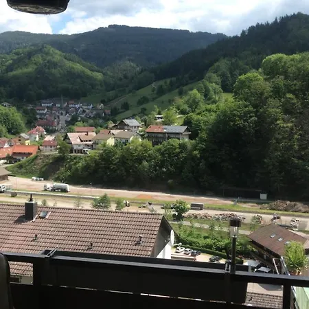 Ferienwohnung Im Schwarzwald Griesbach